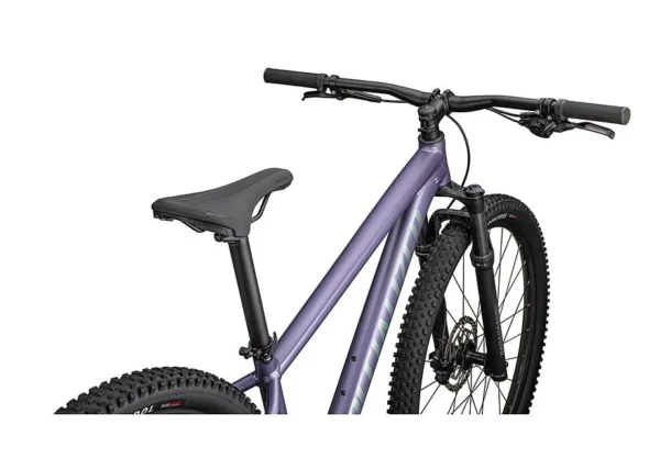 Specialized Rockhopper Comp hardtail MTB
